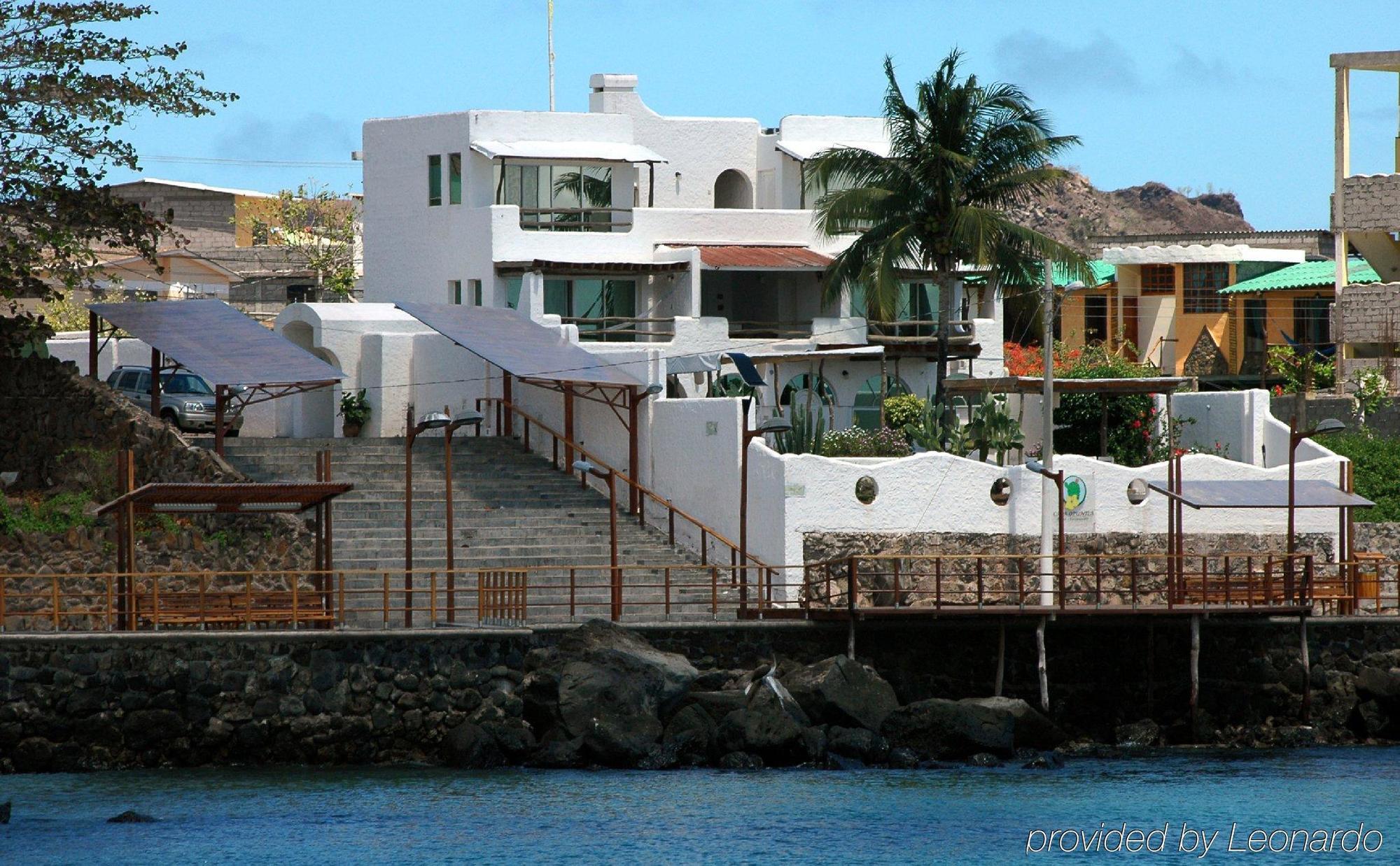 Bed and Breakfast Casa Opuntia Пуэрто-Бакерисо-Морено Экстерьер фото