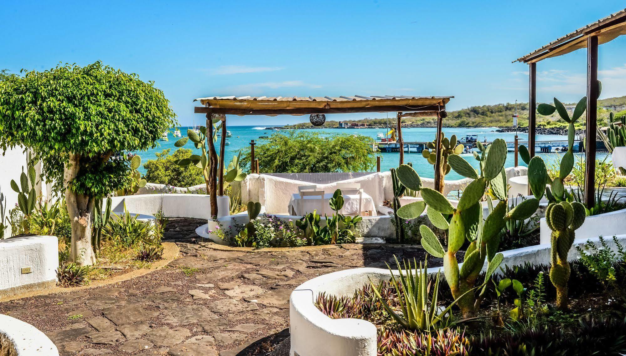 Bed and Breakfast Casa Opuntia Пуэрто-Бакерисо-Морено Экстерьер фото