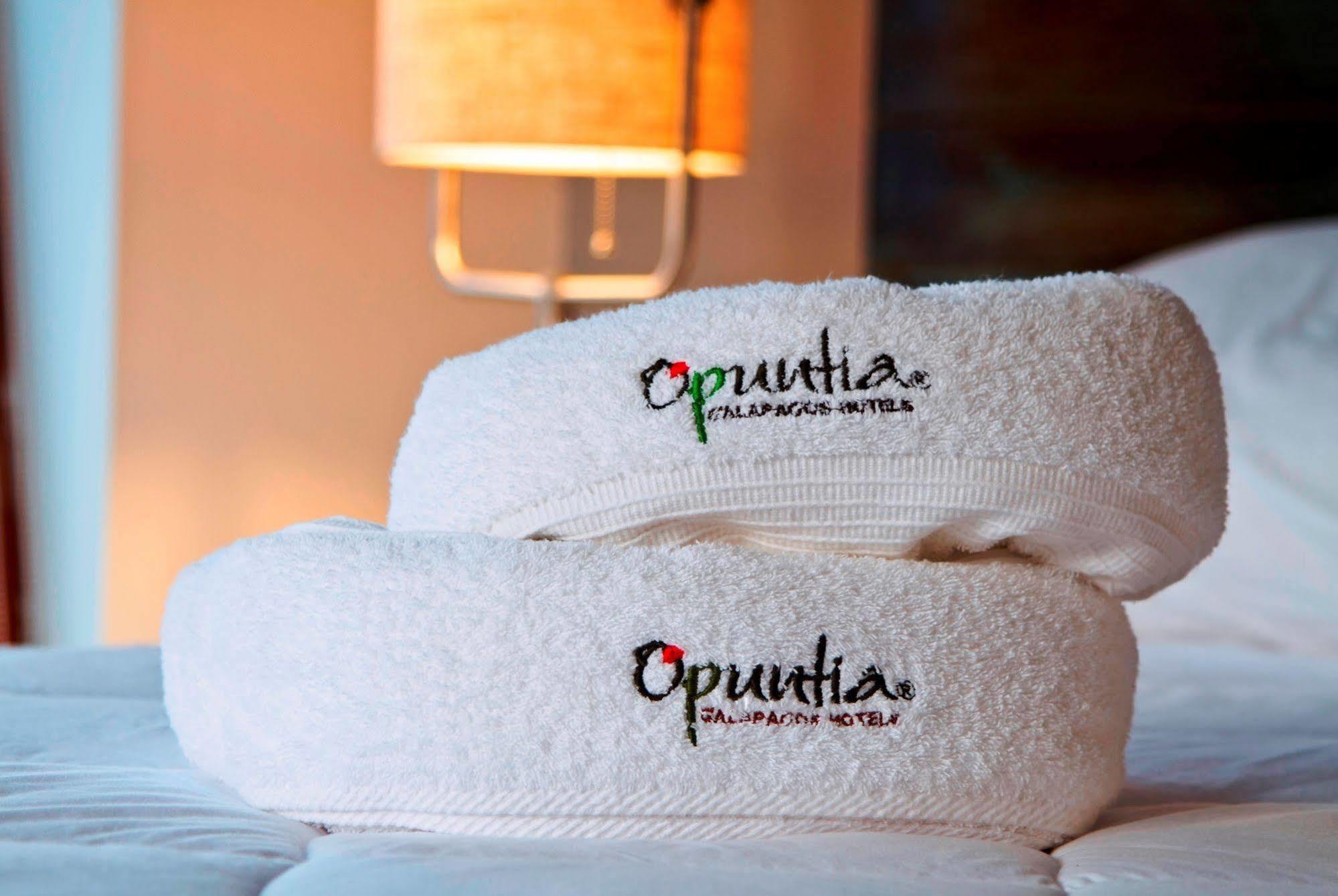 Bed and Breakfast Casa Opuntia Пуэрто-Бакерисо-Морено Экстерьер фото